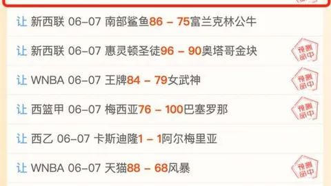 万智牌万博体育官网：旅法师对决 - 秘境：评测终极指南